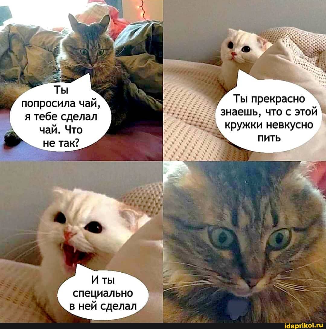 Ты прекрасно знаешь, что с этой кружки невкусно
попросила чай, я тебе сделал
чай. Что не так?
Иты
специально в ней сделал