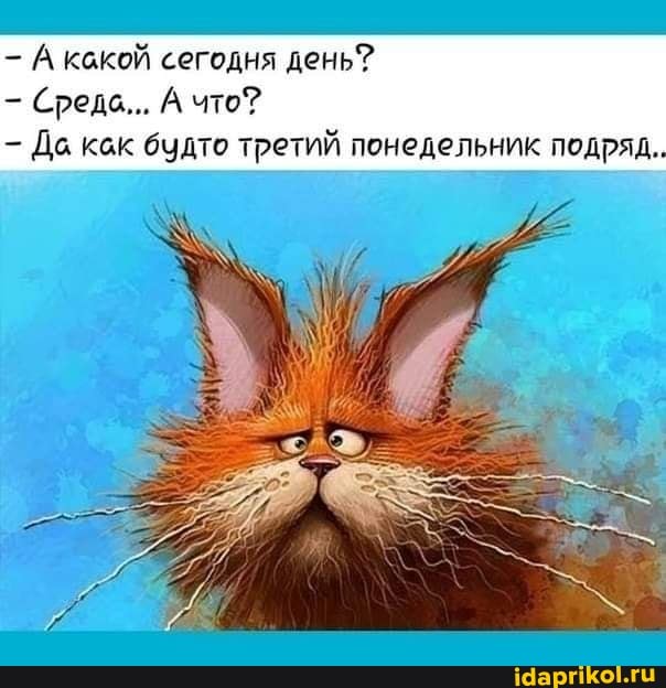 - А какой сегодня день?
Среда... А что?
- Да как будто третий понедельник подряд.