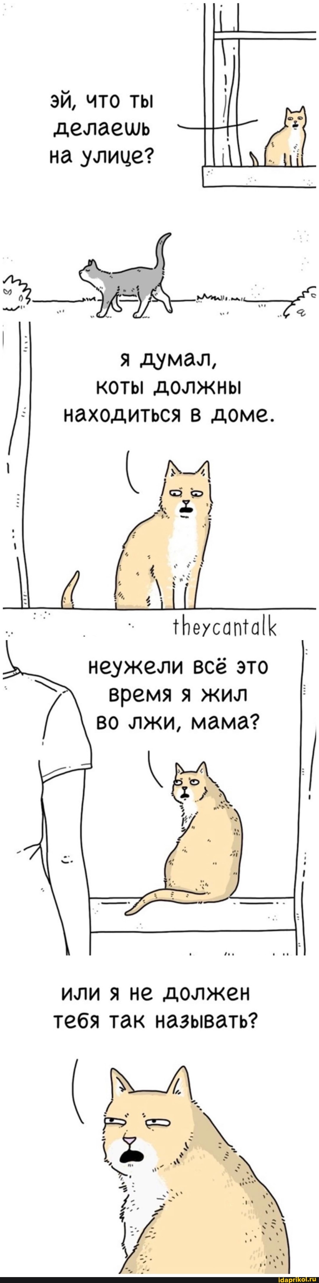 ЭЙ, что ты делаецщь на улице?
я думал, коты должны находиться в доме.
неужели все это время я жил во лжи, мама?
или я не должен тебя так называть?