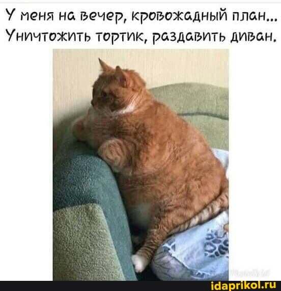У меня на вечер, кровожадный плоцн...
Уничтожить тортик, раздавить дивен,