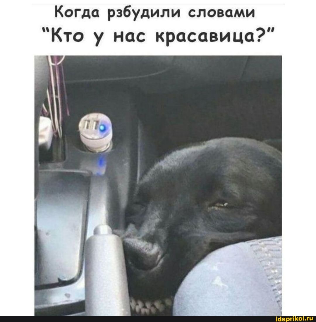 Когда рзбудили словами
"Кто у нас красавица?"