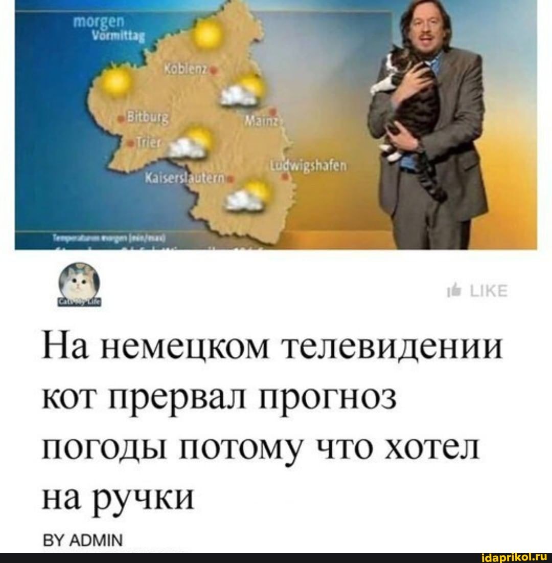 На немецком телевидении кот прервал прогноз погоды потому что хотел на ручки
АРКАН!