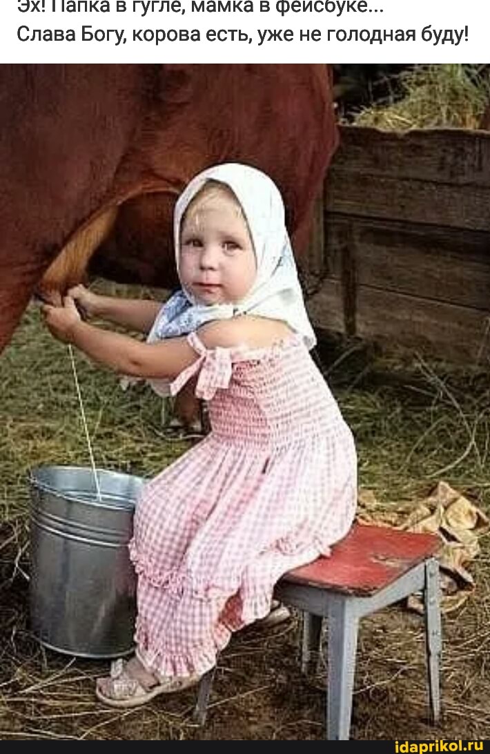 Папка в гугле, мамка в феисоуке...
Слава Богу, корова есть, уже не голодная буду!
