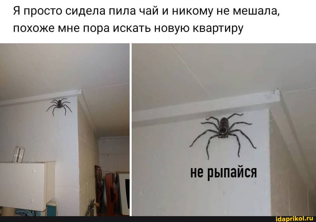 Я просто сидела пила чай и никому не мешала,
похоже мне пора искать новую квартиру