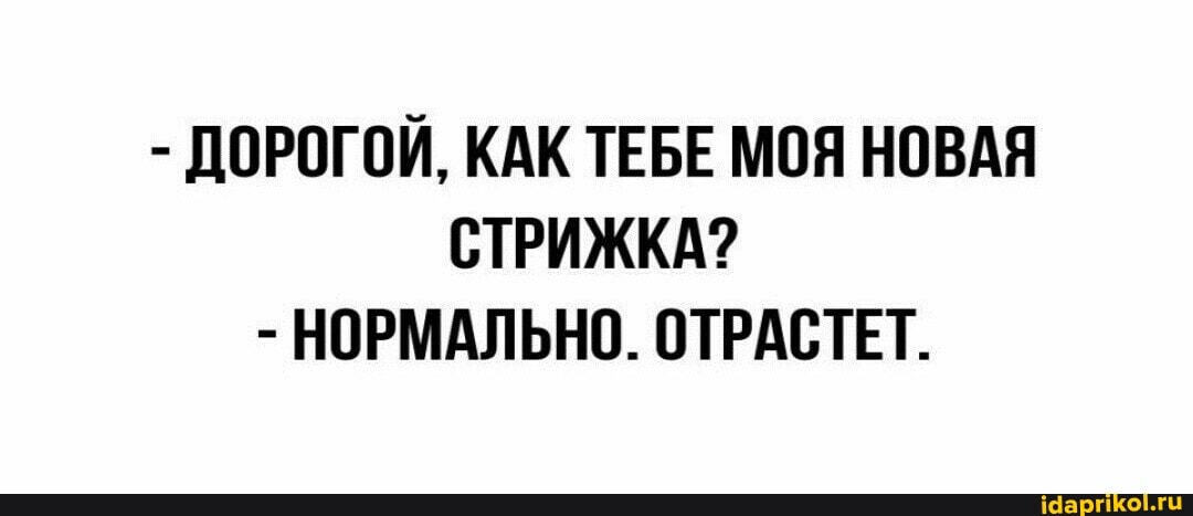 - ДОРОГОЙ, КАК ТЕБЕ МОЯ НОВАЯ СТРИЖКА?
- НОРМАЛЬНО. ОТРАСТЕТ.