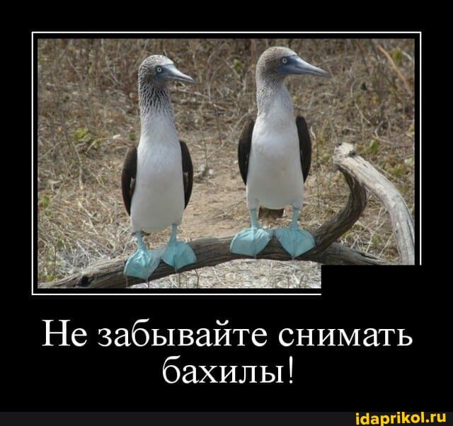 Не забывайте снимать бахилы!
