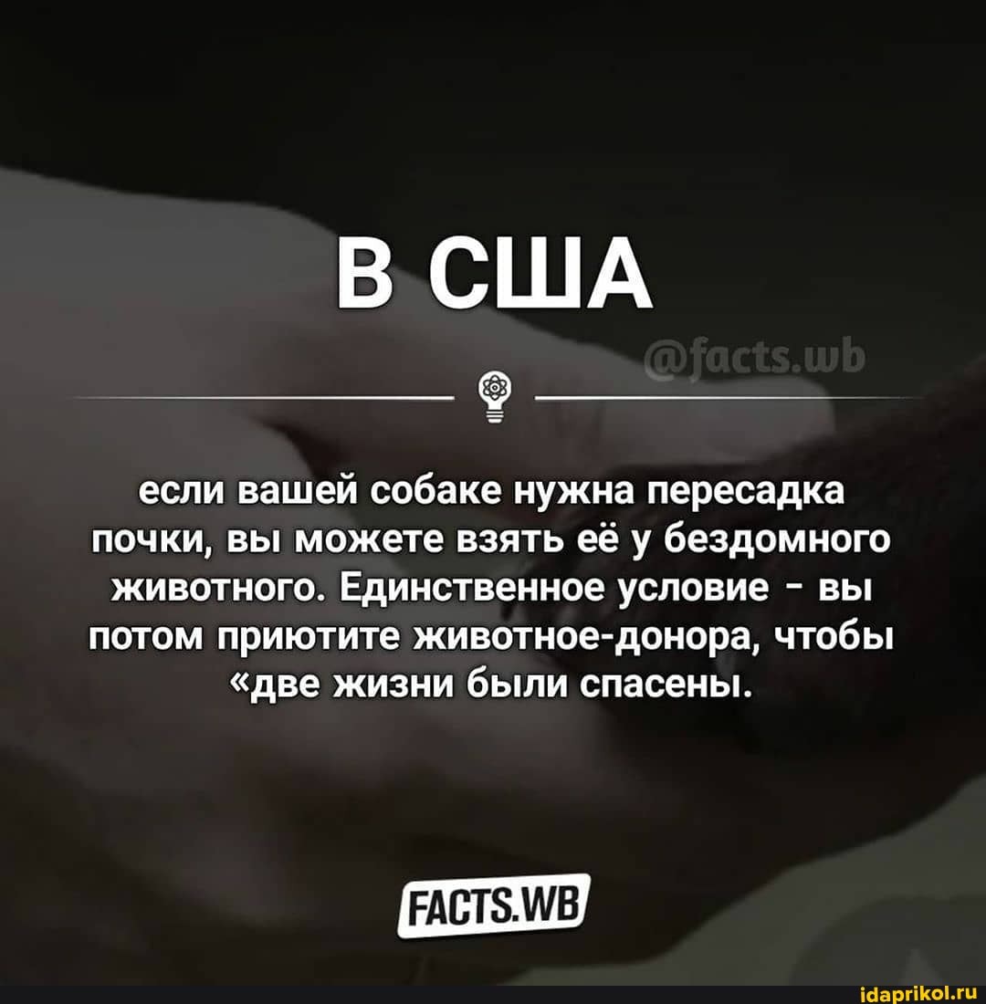 США
если вашей собаке нужна пересадка почки, вы можете взять её у бездомного животного. Единственное условие - вы потом приютите животное-донора, чтобы
"две жизни были спасены.