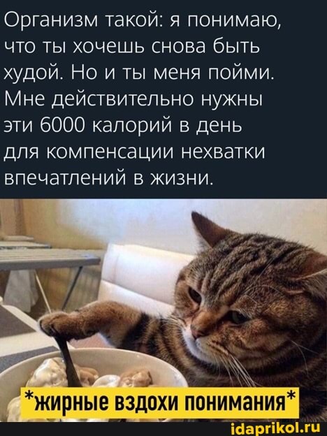 Организм такой: я понимаю, что ты хочешь снова быть худой. Но и ты меня пойми.
Мне действительно нужны эти 6000 калорий в день для компенсации нехватки впечатлений в жизни.
"*жирные вздохи понимания*