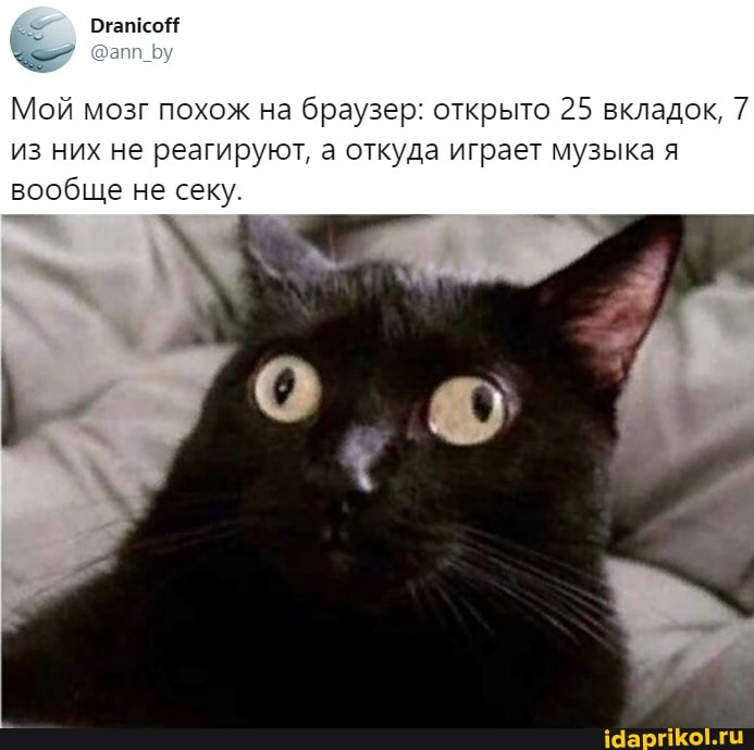 Мой мозг похож на браузер: открыто 25 вкладок, 7 из них не реагируют, а откуда играет музыка я вообще не секу.