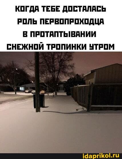 КОГДА ТЕБЕ ДОСТАЛАСЬ РОЛЬ ПЕРВОПРОХОДЦА В ПРОТАПТЫВАНИИ СНЕЖНОЙ ТРОПИНКИ УТРОМ