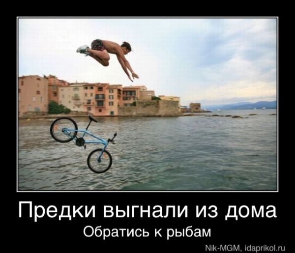 Предки выгнали из дома
Обратись к рыбам - Предки выгнали из дома
Обратись к рыбам