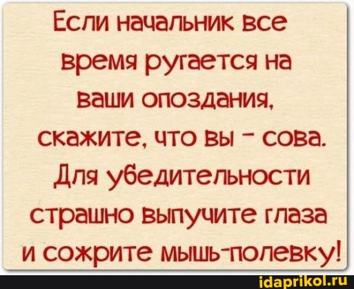 Если начальник все время ругается на ваши опоздания, скажите, что вы - сова.
Для убедительности страшно выпучите глаза и сожрите мышь-полевку!