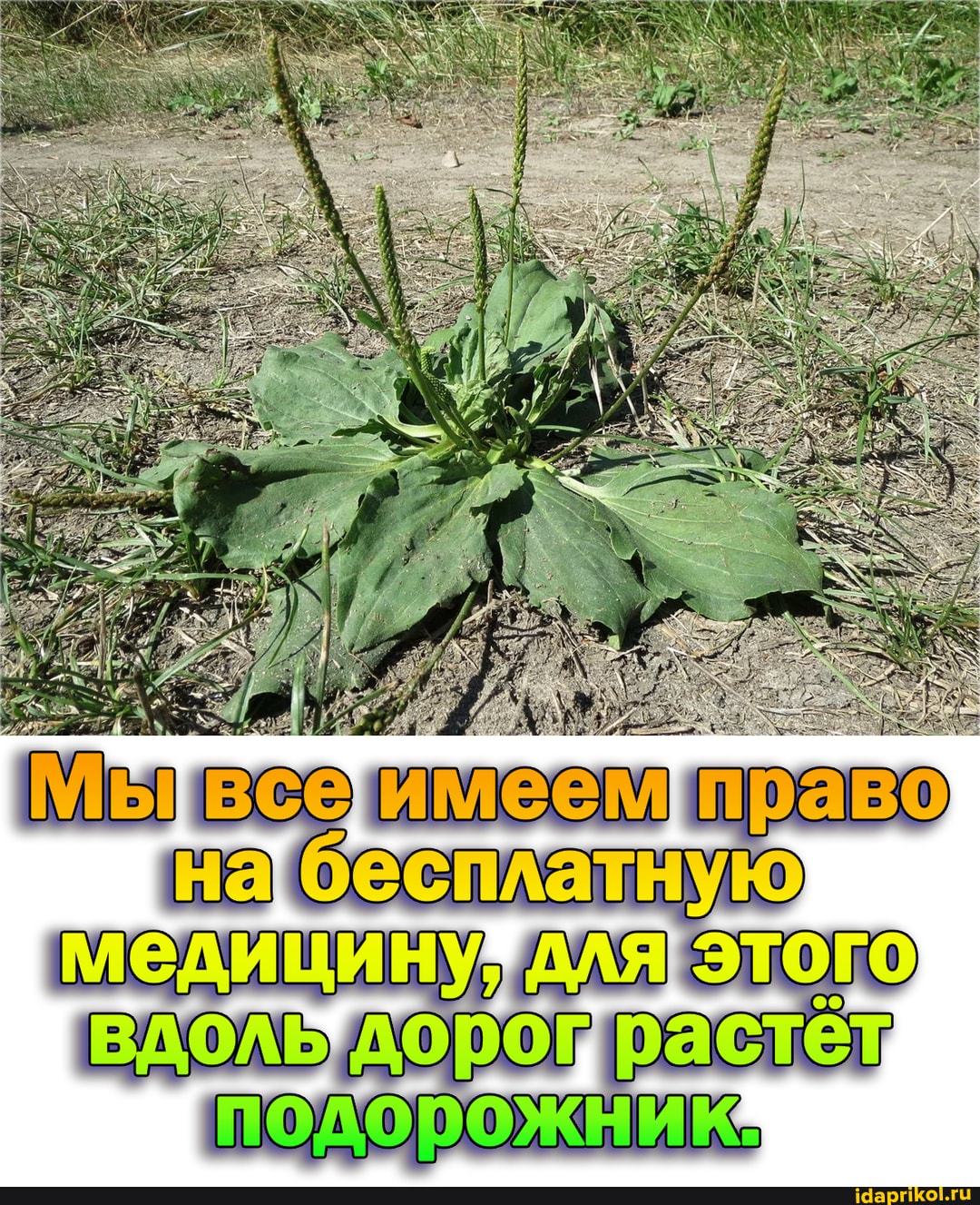- =
меем право на бесплатную медицину
