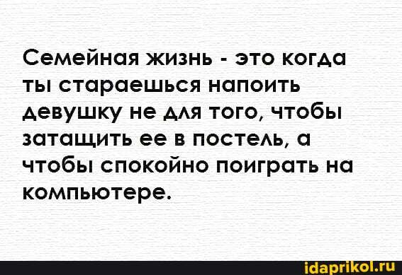 Семейная жизнь - это когда ты стараешься напоить девушку не для того, чтобы затащить ее в постель, а чтобы спокойно поиграть на компьютере.