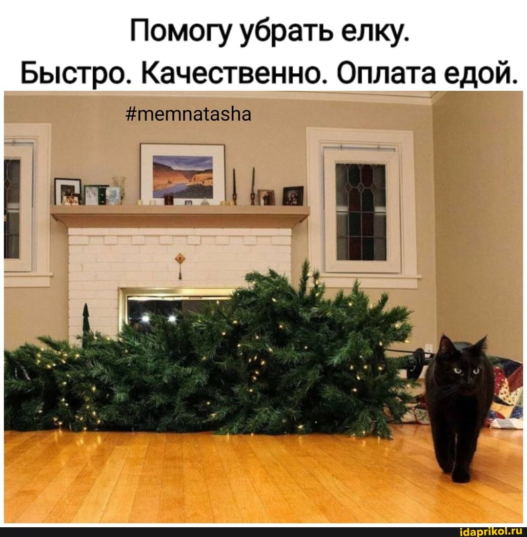 Помогу убрать елку.
Быстро. Качественно. Оплата едой.
#тетпаазВа