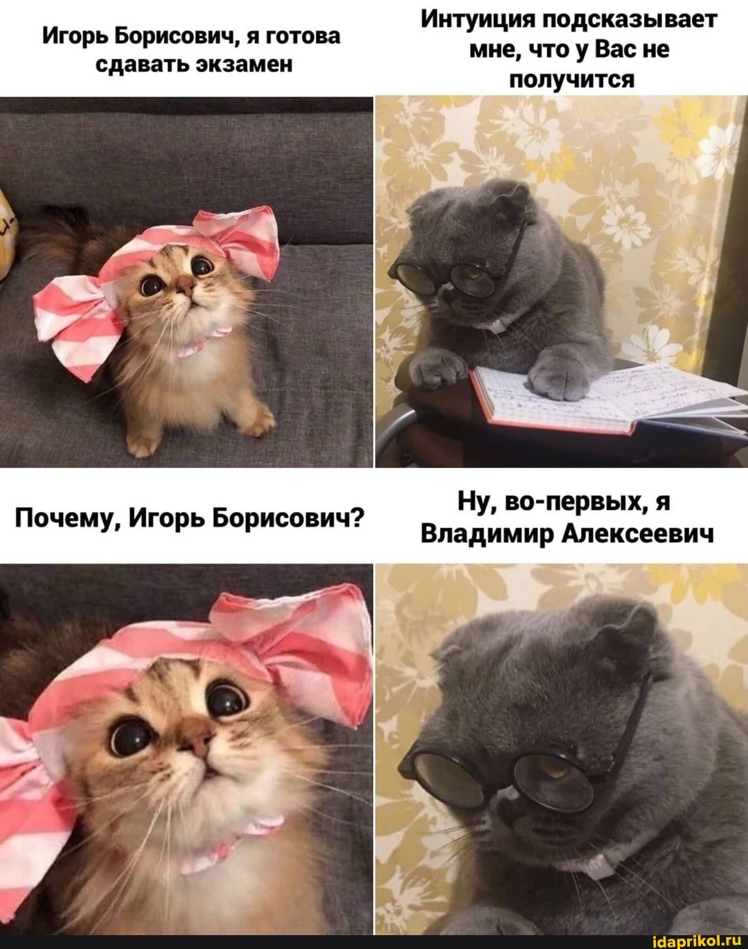 Игорь Борисович, я готова сдавать экзамен
Почему, Игорь Борисович?
Интуиция подсказывает мне, что у Вас не получится
Ну, во-первых, я
Владимир Алексеевич