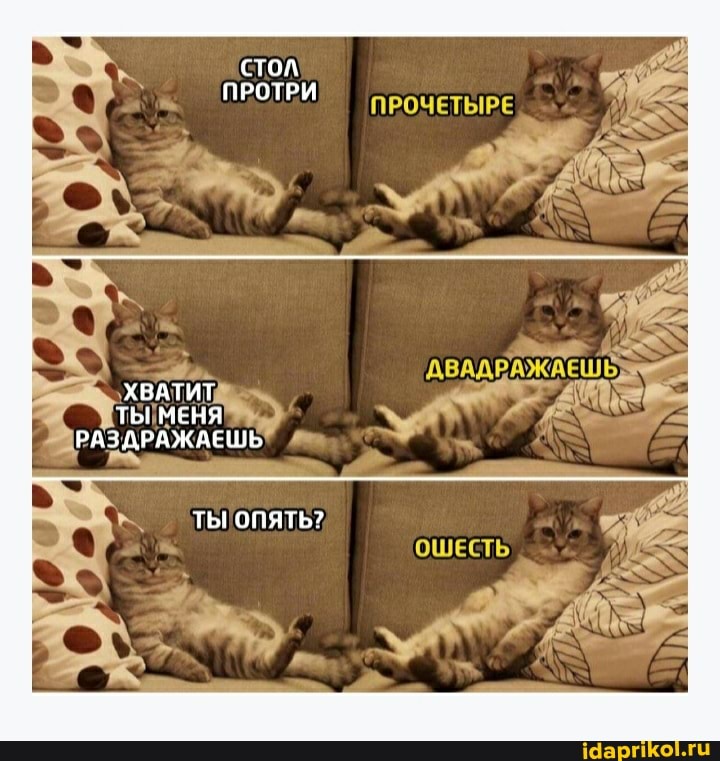 ХВАТИТ ТЫ МЕНЯ РАЗАРАЖАЕЦИЬ
ТЫ ОПЯТЬ?