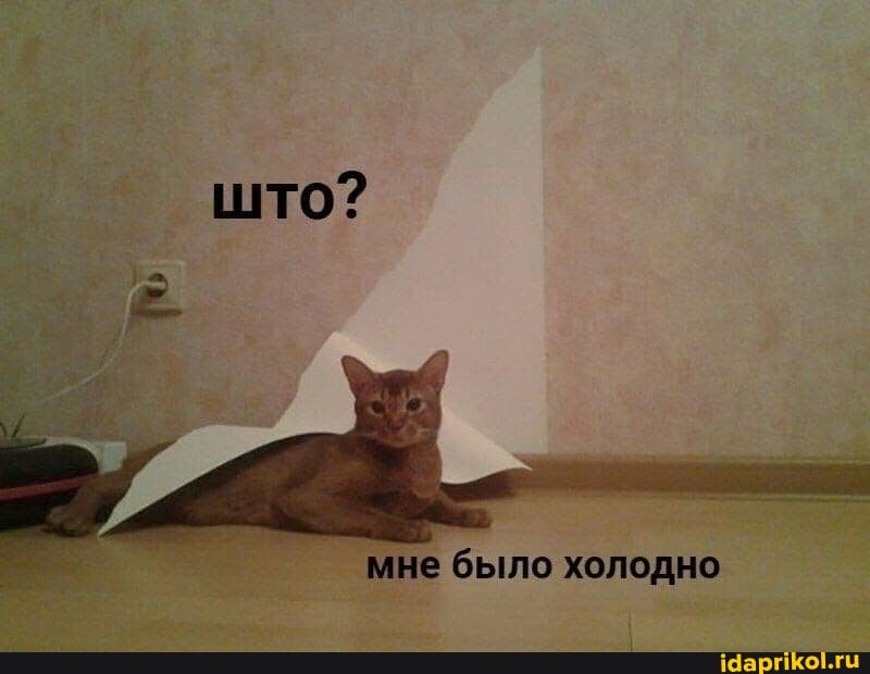 мне было холодно
