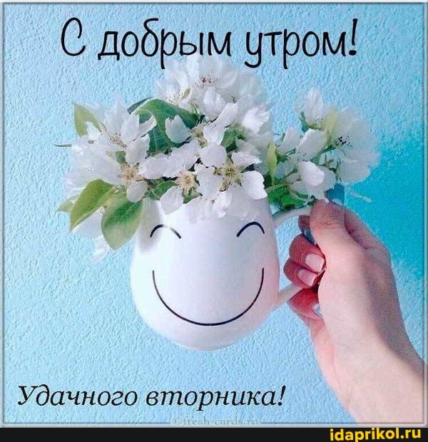 С добрым утром!
Удачного вторника!