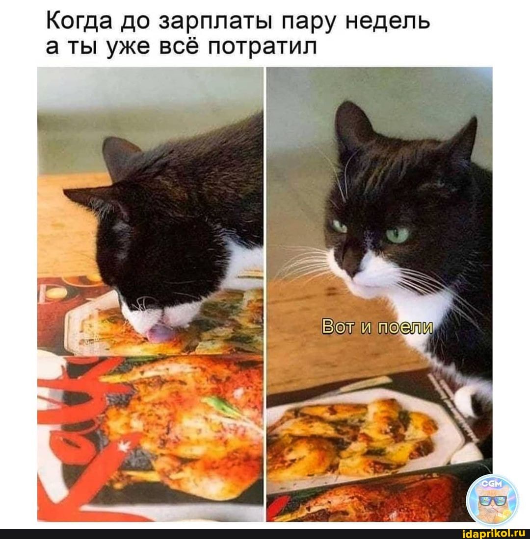 Когда до зарплаты пару недель а ты уже всё потратил