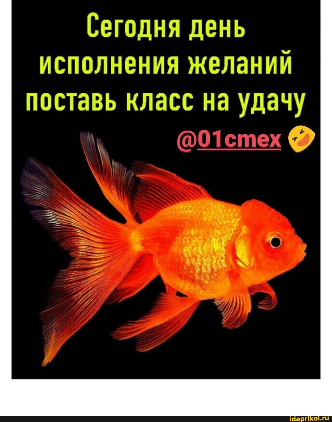 Сегодня день исполнения желаний поставь класс на удачу
@01стех