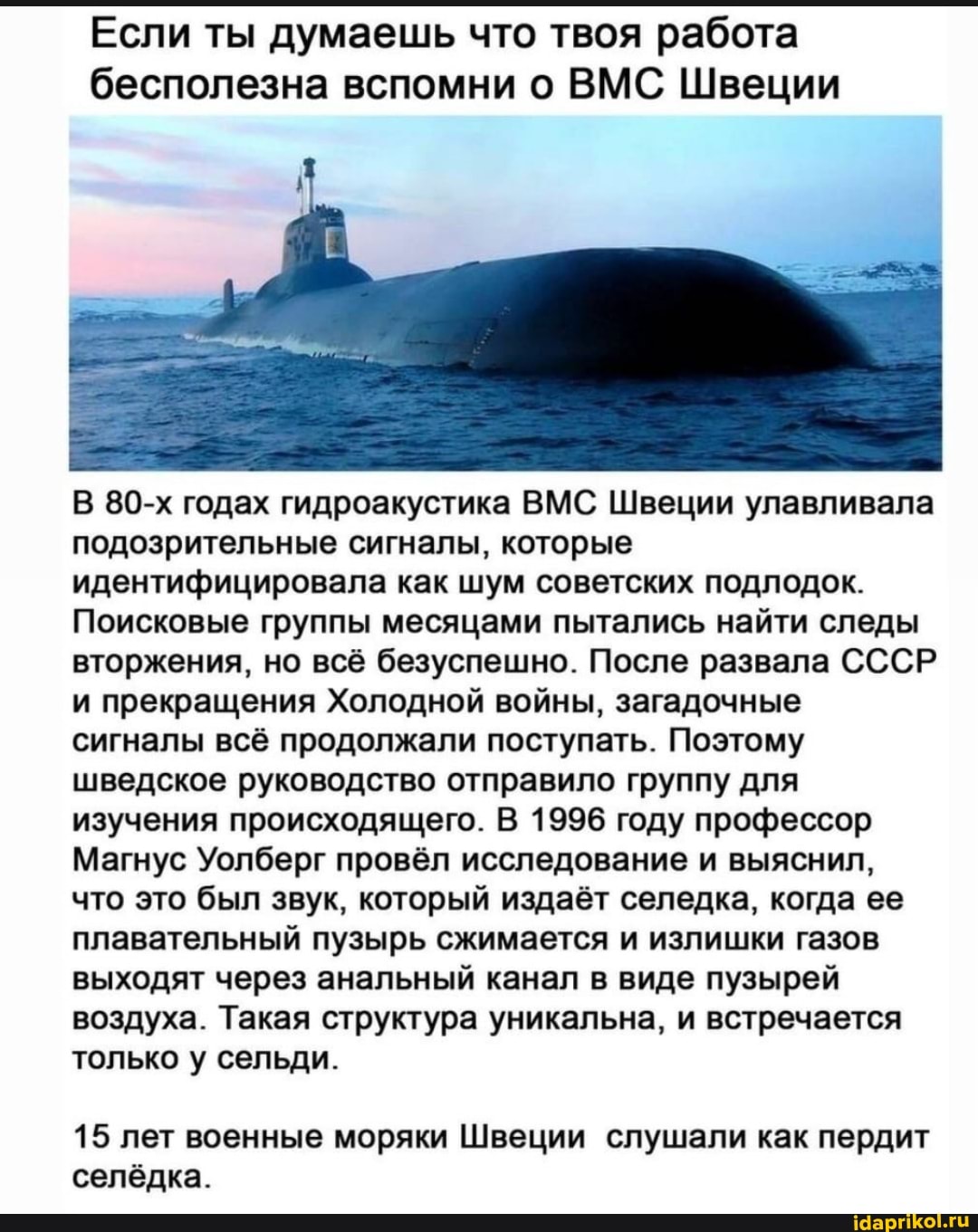 Если ты думаешь что твоя работа бесполезна вспомни о ВМС Швеции
В 80-х годах гидроакустика ВМС Швеции улавливала подозрительные сигналы, которые идентифицировала как шум советских подлодок.
Поисковые группы месяцами пытались найти следы вторжения, но всё безуспешно. После развала СССР и прекращения Холодной войны, загадочные сигналы всё продолжали поступать. Поэтому шведское руководство отправило группу для изучения происходящего. В 1996 году профессор
Магнус Уолберг провёл исследование и выяснил, что это был звук, который издаёт селедка, когда ее плавательный пузырь сжимается и излишки газов выходят через анальный канал в виде пузырей воздуха. Такая структура уникальна, и встречается только у сельди.
15 лет военные моряки Швеции слушали как пердит селёдка.
