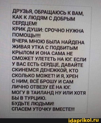 ДРУЗЬЯ, ОБРАЩАЮСЬ К ВАМ,
КАК К ЛЮДЯМ С ДОБРЫМ СЕРДЦЕМ!
КРИК ДУШИ: СРОЧНО НУЖНА помощь!
ВЧЕРА МНОЮ БЫЛА НАЙДЕНА ЖИВАЯ УТКА С ПОДБИТЫМ КРЫЛОМ И ОНА САМА НЕ СМОЖЕТ УЛЕТЕТЬ НА ЮГ ЕСЛИ У ВАС ЕСТЬ СЕРДЦЕ, ДАВАЙТЕ СКИНЕМСЯ ДЕНЕЖКОЙ, КТО СКОЛЬКО МОЖЕТ! И Я, ХРЕН
С НИМ, ВСЁ БРОШУ И САМ ЛИЧНО ОТВЕЗУ ЕЁ НА ЮГ
МОГУ В ТАИЛАНД НУ ИЛИ ХОТЯ БЫ В ТУРЦИЮ.
БУДЬТЕ ЛЮДЬМИ!
СПАСЕМ КУ ВМЕСТЕ!!!