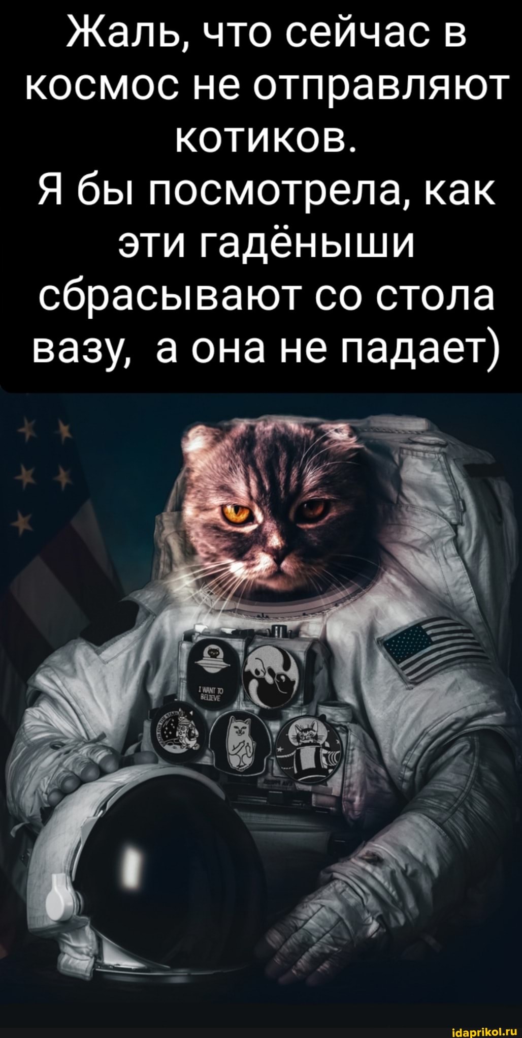 Жаль, что сейчас космос не отправляют
КОТИКОВ.
Я бы посмотрела, как эти гаденыши сбрасывают со стола вазу, а она не падает)