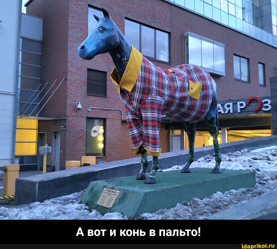 А вот и конь в пальто! - А вот и конь в пальто!