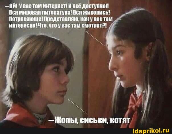 - Мопы, сиськи, котят /