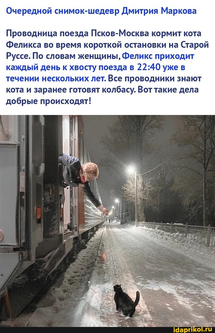 Очередной снимок-шедевр Дмитрия Маркова
Проводница поезда Псков-Москва кормит кота
Феликса во время короткой остановки на Старой
Руссе. По словам женщины, Феликс приходит каждый день к хвосту поезда в уже в течении нескольких лет. Все проводники знают кота и заранее готовят колбасу. Вот такие дела добрые происходят!