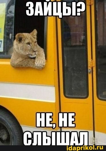 pe SAiiiibie
HE