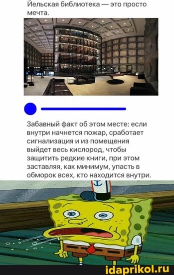 Иельская библиотека - это просто.
мечта,
Забавный факт об этом месте: если внутри начнется пожар, сработает
'сигнализация и из помещения выйдет весь кислород, чтобы защитить редкие книги, при этом заставляя, как минимум, упасть в обморок всех, кто находится внутри.