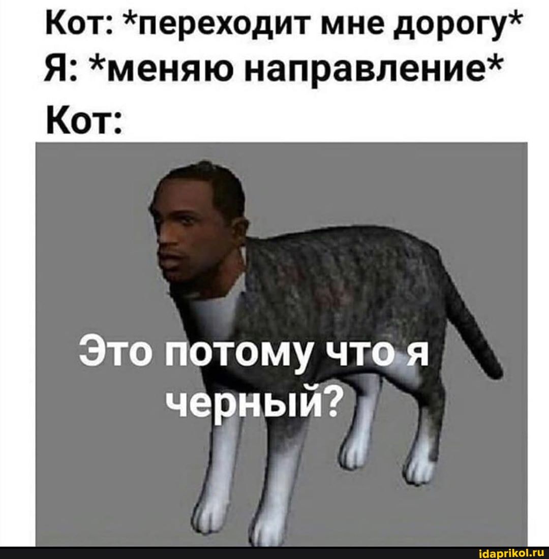 KoT: *nepexoguT MHe fopory*
Я: *меняю направление*
Kor:
Это потому что,я
черный?
I