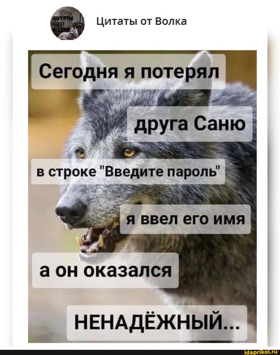 Цитаты от Волка I 