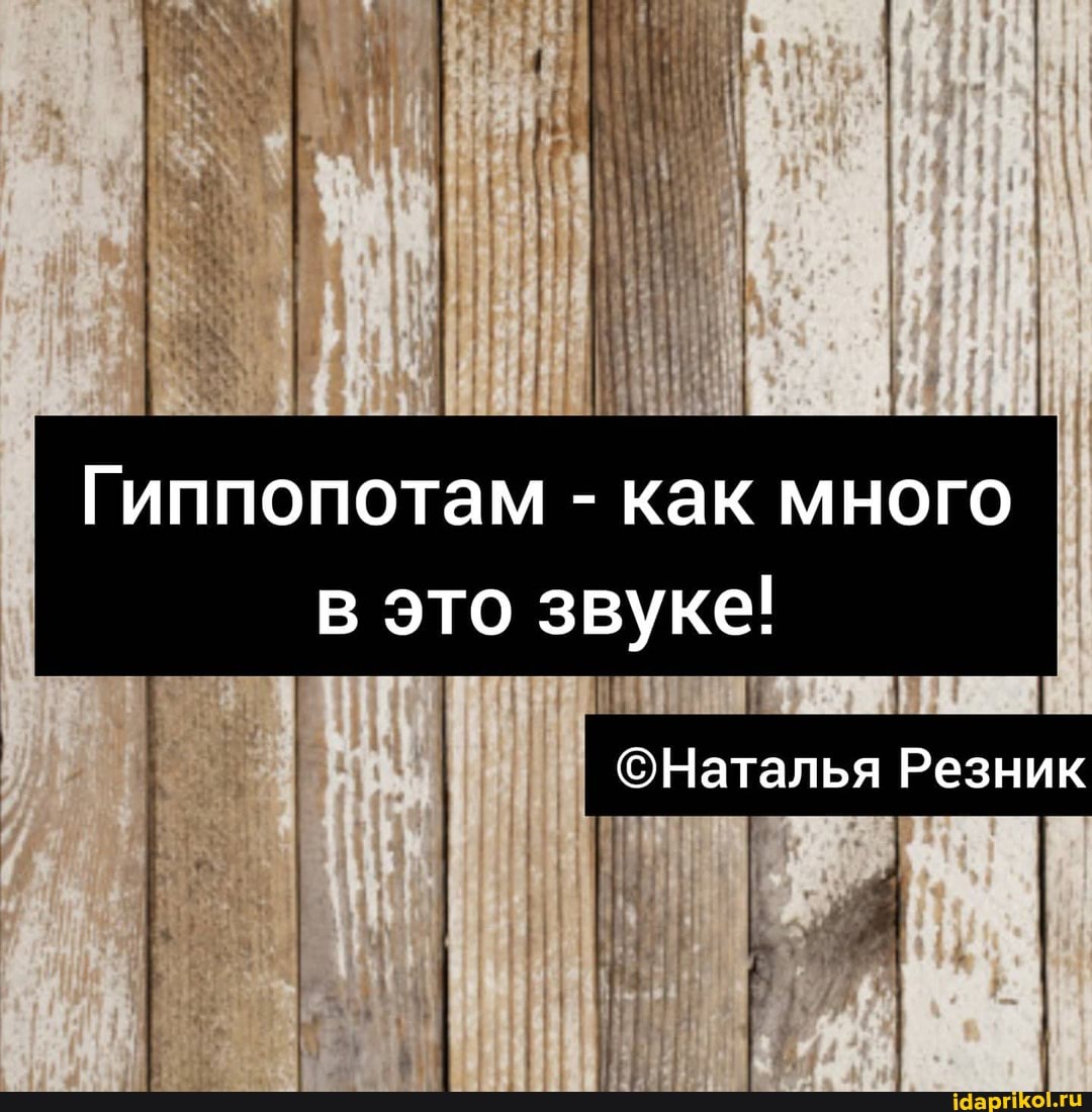 Гиппопотам - как много
в это звуке!
Резник