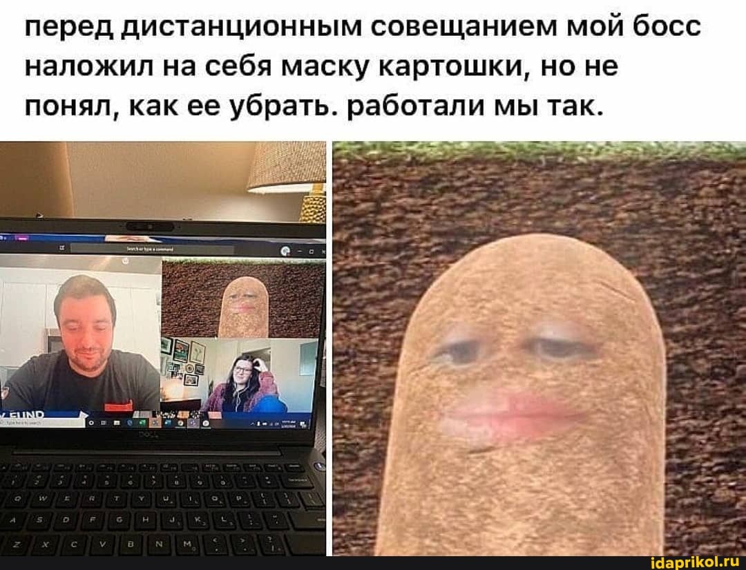 перед дистанционным совещанием мой босс наложил на себя маску картошки, но не понял, как ее убрать. работали мы так.