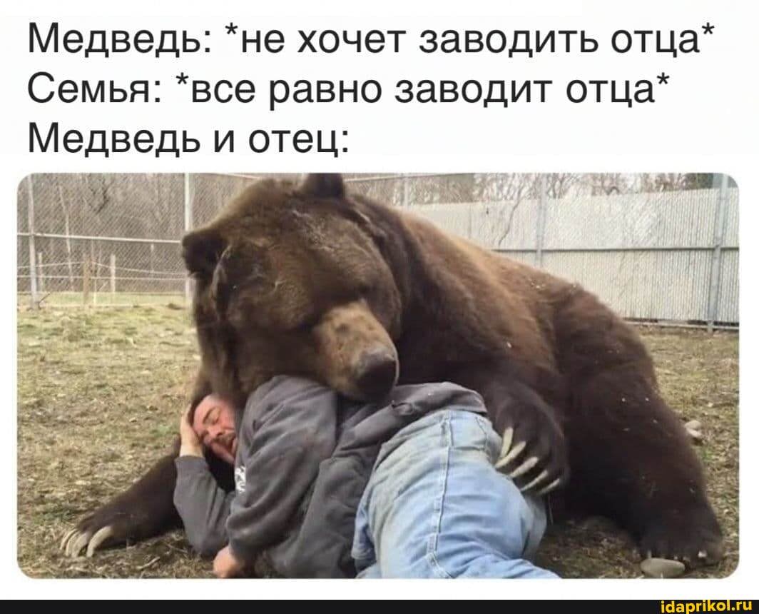 Мед
ведь: *не хочет заводить отца*
Семья: *все равно заводит отца*
Медведь и отец: