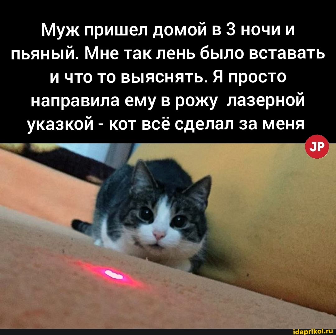 Муж пришел домой в 3 ночи и пьяный. Мне так лень было вставать и что то выяснять. Я просто направила ему в рожу лазерной
указкой - кот всё сделал за меня
ЭР