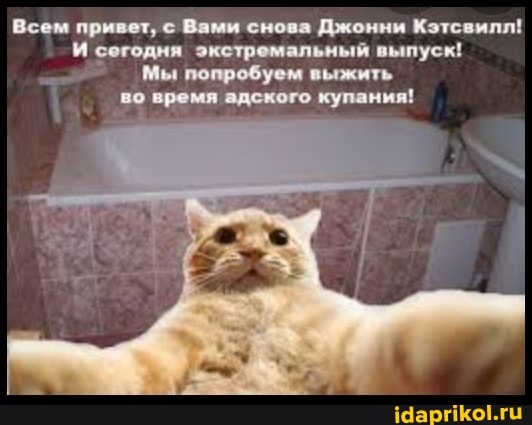 Всем привет, с Вами снова Джонни Кэтсвилл! и сегодня экстремальный выпуск!
Мы попробуем выжить во время адского купания!