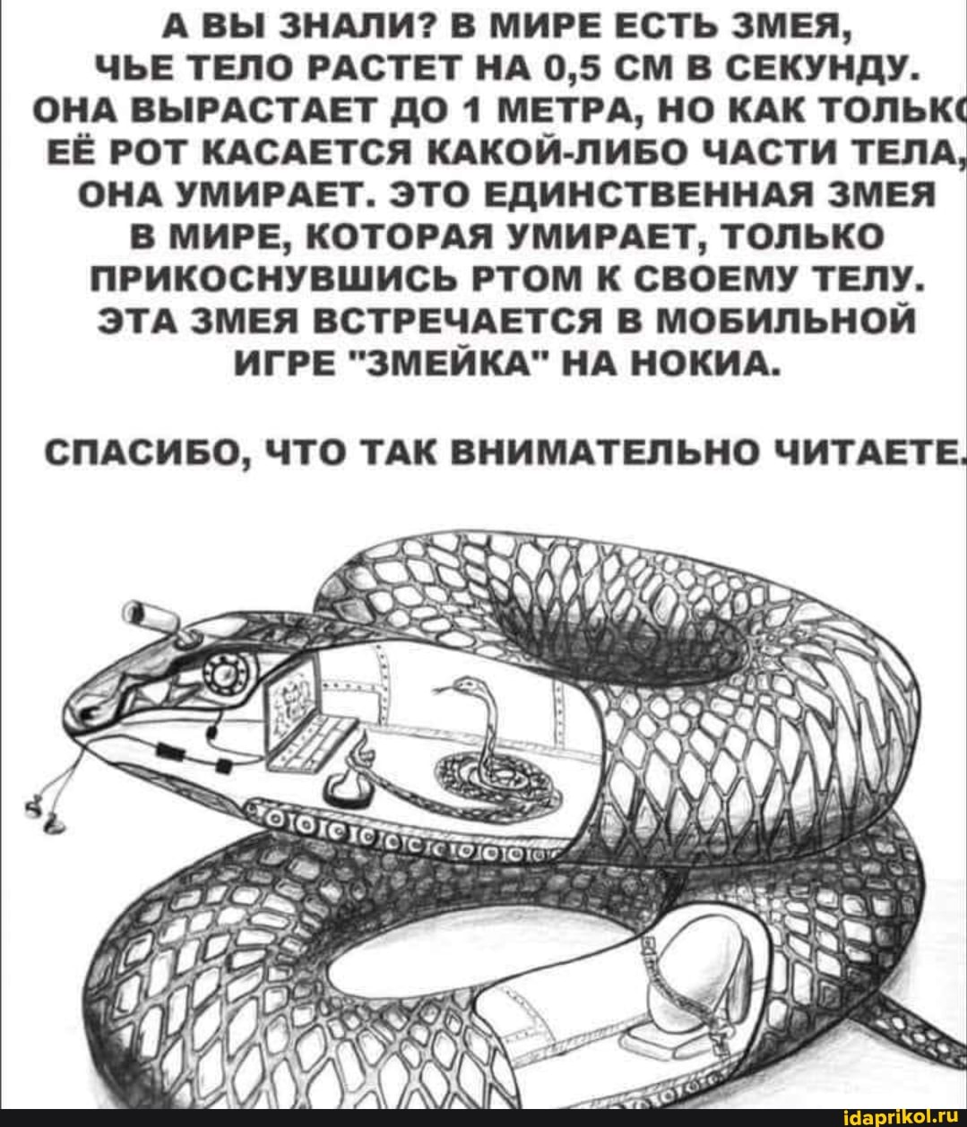 А ВЫ ЗНАЛИ? В МИРЕ ЕСТЬ ЗМЕЯ,
ЧЬЕ ТЕЛО РАСТЕТ НА 0,5 СМ В СЕКУНДУ.
ОНА ВЫРАСТАЕТ ДО 1 МЕТРА, НО КАК ТОЛЬК("
ЕЁ РОТ КАСАЕТСЯ КАКОЙ-ЛИБО ЧАСТИ ТЕЛА,
ОНА УМИРАЕТ. ЭТО ЕДИНСТВЕННАЯ ЗМЕЯ
В МИРЕ, КОТОРАЯ УМИРАЕТ, ТОЛЬКО ПРИКОСНУВШИСЬ РТОМ К СВОЕМУ ТЕЛУ.
ЭТА ЗМЕЯ ВСТРЕЧАЕТСЯ В МОБИЛЬНОЙ
ИГРЕ "ЗМЕЙКА" НА НОКИА.
СПАСИБО, ЧТО ТАК ВНИМАТЕЛЬНО ЧИТАЕТЕ.