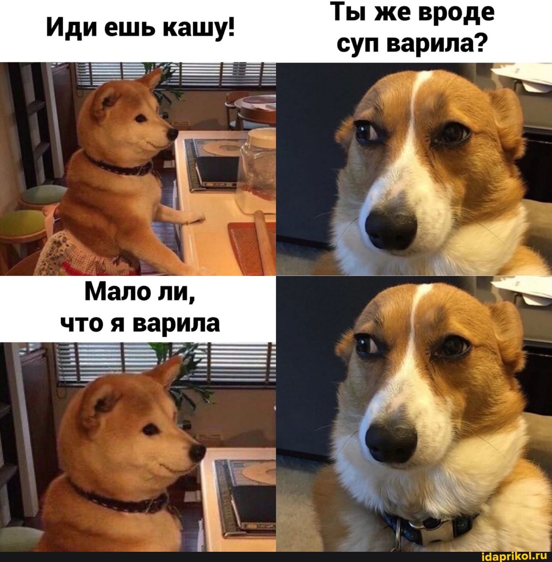 Ты же вроде суп варила? I
Иди ешь кашу!
Мало ли, что я варила