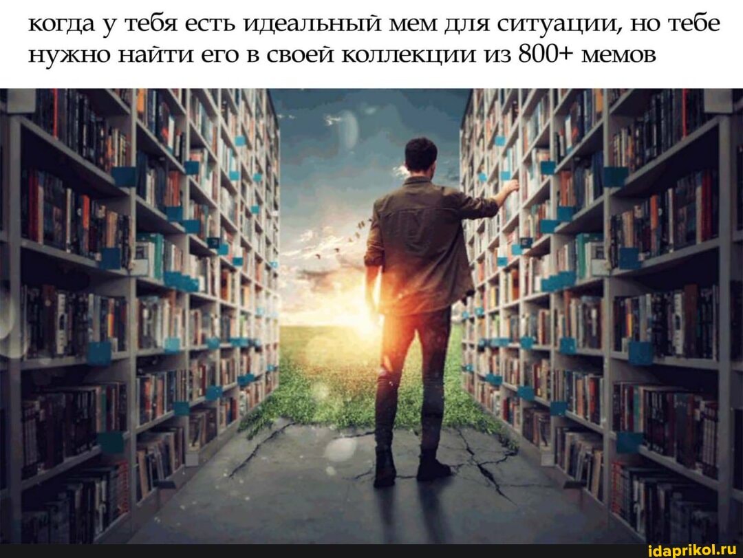 когда у тебя есть идеальный мем для ситуации, но тебе нужно найти его в своей коллекции из 800+ мемов