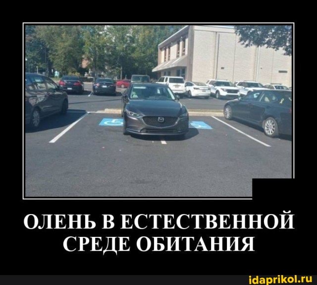 ОЛЕНЬ В ЕСТЕСТВЕННОЙ СРЕДЕ ОБИТАНИЯ