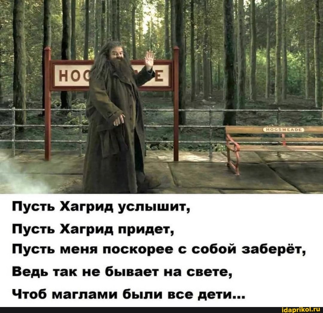 Пусть Хагрид услышит,
Пусть Хагрид придет,
Пусть меня поскорее с собой заберёт,
Ведь так не бывает на свете,
Чтоб маглами были все дети...