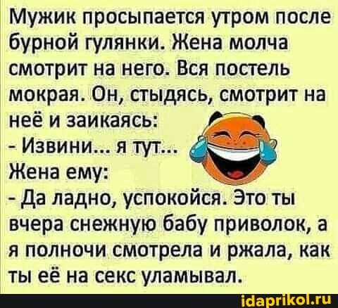 Мужик просыпается утром после бурной гулянки. Жена молча смотрит на него. Вся постель мокрая. Он, стыдясь, смотрит на неё и заикаясь:
- Извини... я тут...
Жена ему:
- Да ладно, успокойся. Это ты вчера снежную бабу приволок, а я полночи смотрела и ржала, как ты её на секс уламывал.
