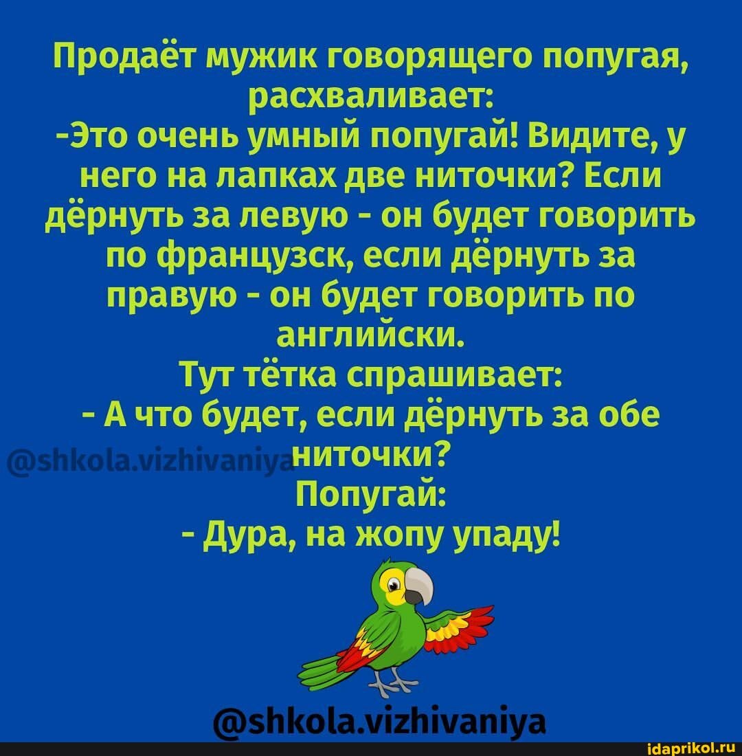 Продаёт мужик говорящего попугая, расхваливает:
-Это очень умный попугай! Видите, у него на лапках две ниточки? Если дёрнуть за левую - он будет говорить по французск, если дёрнуть за правую - он будет говорить по английски.
Тут тётка спрашивает:
- что будет, если дёрнуть за обе ниточки?
Попугай:
- Дура, на жопу упаду!