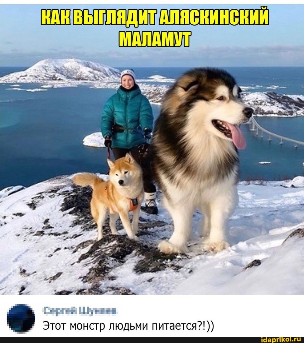 КАНВЫГЛЯДИТАЛЯСКИНСКИЙ
Этот монстр людьми питается?!
