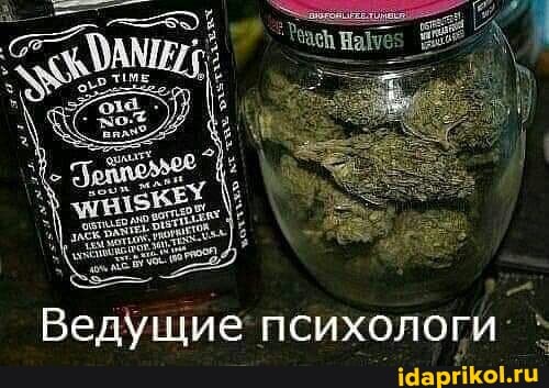 Ведущие психологи: