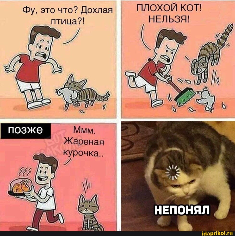 Фу, это что? Дохлая ПЛОХОЙ КОТ! птица?! НЕЛЬЗЯ!
Жареная